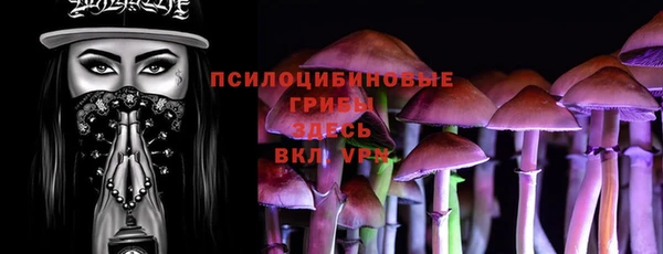 гидра Арсеньев