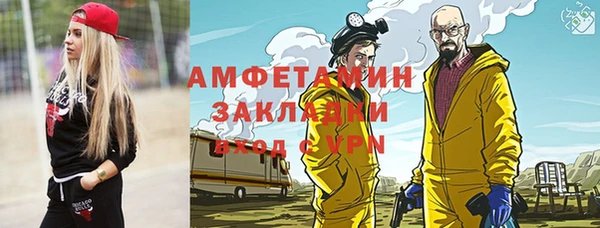 индика Новодвинск