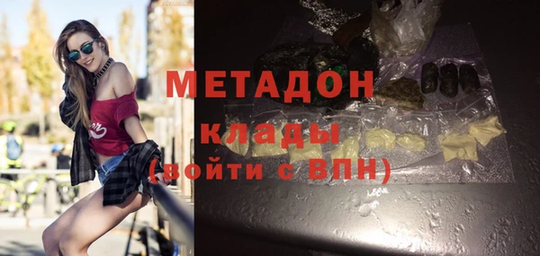 индика Новодвинск