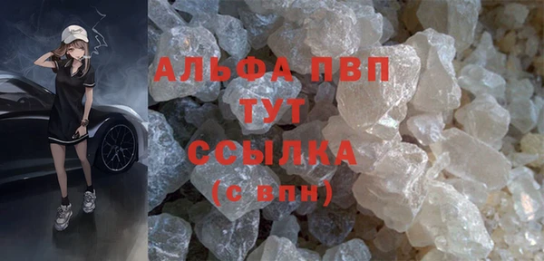 гидра Арсеньев