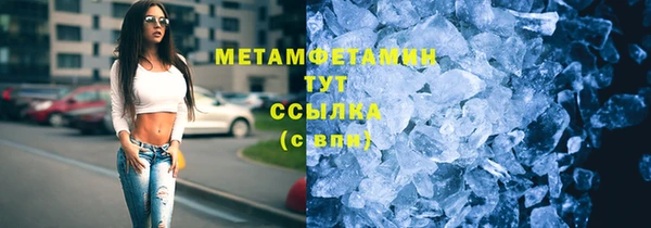 гидра Арсеньев